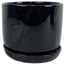 Border Concepts 8 in. D Ceramic Cover Pot Black, Pack of 4