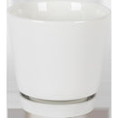 Border Concepts 10 in. D Ceramic Flair Saucer Planter White