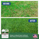 Turf Titan Thatch Buster Soil Amendment 6000 sq ft 32 oz, Pack of 6