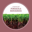Pennington Pensacola Bahiagrass Full Sun Grass Seed 3 lb