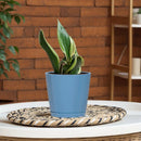 L&G 5.7 in. H X 6 in. W X 6 in. D X 6 in. D Resin Planter Blue