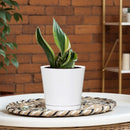L&G 5.7 in. H X 6 in. W X 6 in. D X 6 in. D Resin Planter White