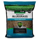 GreenPeak Kentucky Bluegrass Full Sun Grass Seed 20 lb