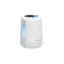 Safer Brand Flying Insect Trap Kit