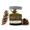 Mosser Lee White Pearl Stone Soil Cover 5 lb
