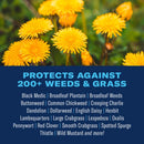 BioAdvanced All-In-One Weed and Crabgrass Killer RTU Liquid 24 oz, Pack of 12