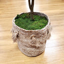 Mosser Lee Organic Green Sheet Moss 325 sq in