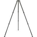 Gitzo GT4533LS Systematic Series 4 Carbon Fiber Tripod (Long)