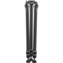 Gitzo GT4533LS Systematic Series 4 Carbon Fiber Tripod (Long)
