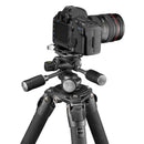 Gitzo GHF3W Fluid 3 Way Head