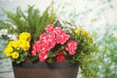Southern Patio 12.2 in. H X 20.5 in. W X 20.5 in. D Resin Whiskey Barrel Planter Brown