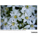 Tamron 50-400mm f/4.5-6.3 Di III VC VXD Lens for Sony E