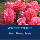 BioAdvanced 2-in-1 Systemic Granules Rose & Flower Care 10 lb