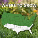Jonathan Green Black Beauty Shady Nooks Mixed Full Shade Grass Seed 3 lb