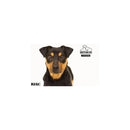 Savage 5 x 7' Infinity Vinyl White