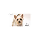 Savage 5 x 7' Infinity Vinyl White