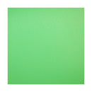Savage 5 x 7' Infinity Vinyl Chroma Green Background