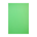 Savage 5 x 12' Infinity Vinyl Chroma Green Background