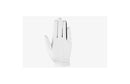 Junior Weather Spann Golf Glove - Medium
