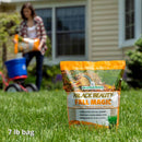 Jonathan Green Black Beauty Fall Magic All Grasses Sun or Shade Grass Seed 7 lb