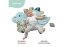 Tummy Time Mat and Baby Lovey Security Blanket - Dinosaur