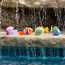 Dive Pool Toy for Kids Aged 5+