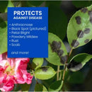 BioAdvanced 3-In-1 Insect Disease & Mite Control Concentrate 32 oz