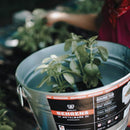 Behrens 5 gal Steel Multi Purpose Flexi-Tub Round