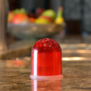 RESCUE! Fruit Fly Trap 0.68 oz, Pack of 5