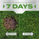 Scotts PatchMaster Tall Fescue Grass Sun or Shade Grass Spot Repair Mix 10 lb