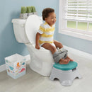 3-in-1 Toddler Toilet Training Potty Chair - Step Stool