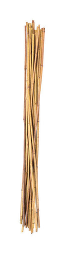 Panacea 36 in. H Brown Bamboo Plant Stake, Pack of 36