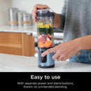 Blast 18oz Portable Blender - Metallic Blue