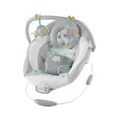 Soothing Baby Bouncer with Vibrating Infant Seat - Morrison