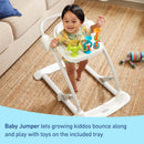 Jumpstart 4-in-1 Activity Bouncer - Wren