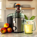 Wide Mouth Juice Extractor - Silver: 800W Juicer Machine, 2 Speeds, Easy Clean, 32oz Capacity