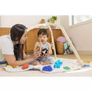 The Play Gym