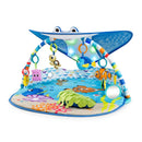 Activity Gym - Mr. Ray