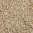 Kaytee Wild Bird Seed 5 lb