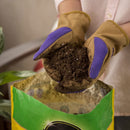 Miracle-Gro Potting Mix, 8 Qt.