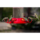 Perky-Pet Hummingbird 48 oz Glass/Plastic Nectar Bird Feeder 6 ports, Pack of 6