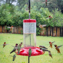 Perky-Pet Hummingbird 48 oz Glass/Plastic Nectar Bird Feeder 6 ports, Pack of 6