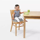 Booster Seat With Straps - Gray