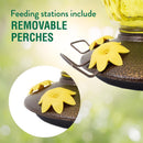 Perky-Pet Hummingbird 28 oz Glass/Plastic Pineapple Nectar Bird Feeder 5 ports, Pack of 2