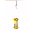 Birds Choice Forever Finch 1 qt Plastic Magnet Mesh Tube Bird Feeder