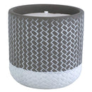 Trendspot Assorted Ceramic 4 in. H X 4 in. L X 4 in. W Reed Citronella Candle, Pack of 9
