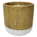 Trendspot Assorted Ceramic 4 in. H X 4 in. L X 4 in. W Reed Citronella Candle, Pack of 9