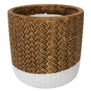 Trendspot Assorted Ceramic 4 in. H X 4 in. L X 4 in. W Reed Citronella Candle, Pack of 9