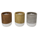 Trendspot Assorted Ceramic 4 in. H X 4 in. L X 4 in. W Reed Citronella Candle, Pack of 9