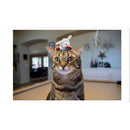 Multipet Lamb Chop For Cat White Plush Cat Toy 1 pk